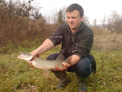 Darko Herak